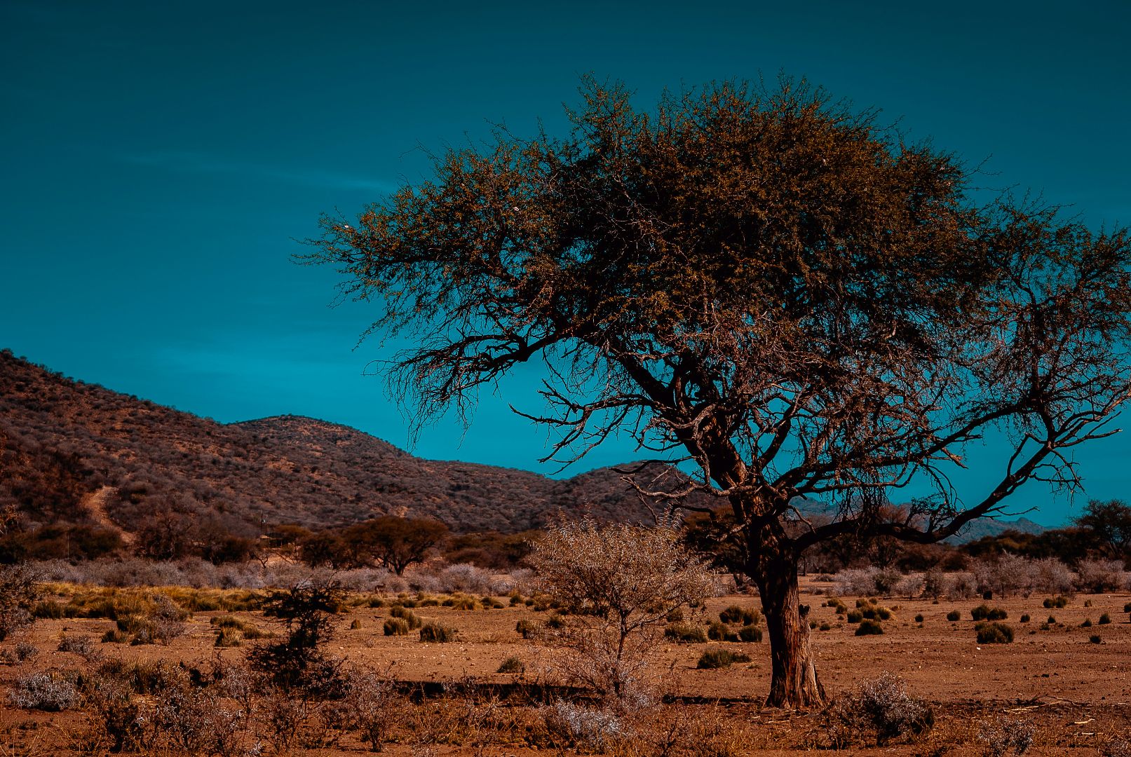 Ultimate Namibia Private Tour_YOU Travel Tauranga7.jpg