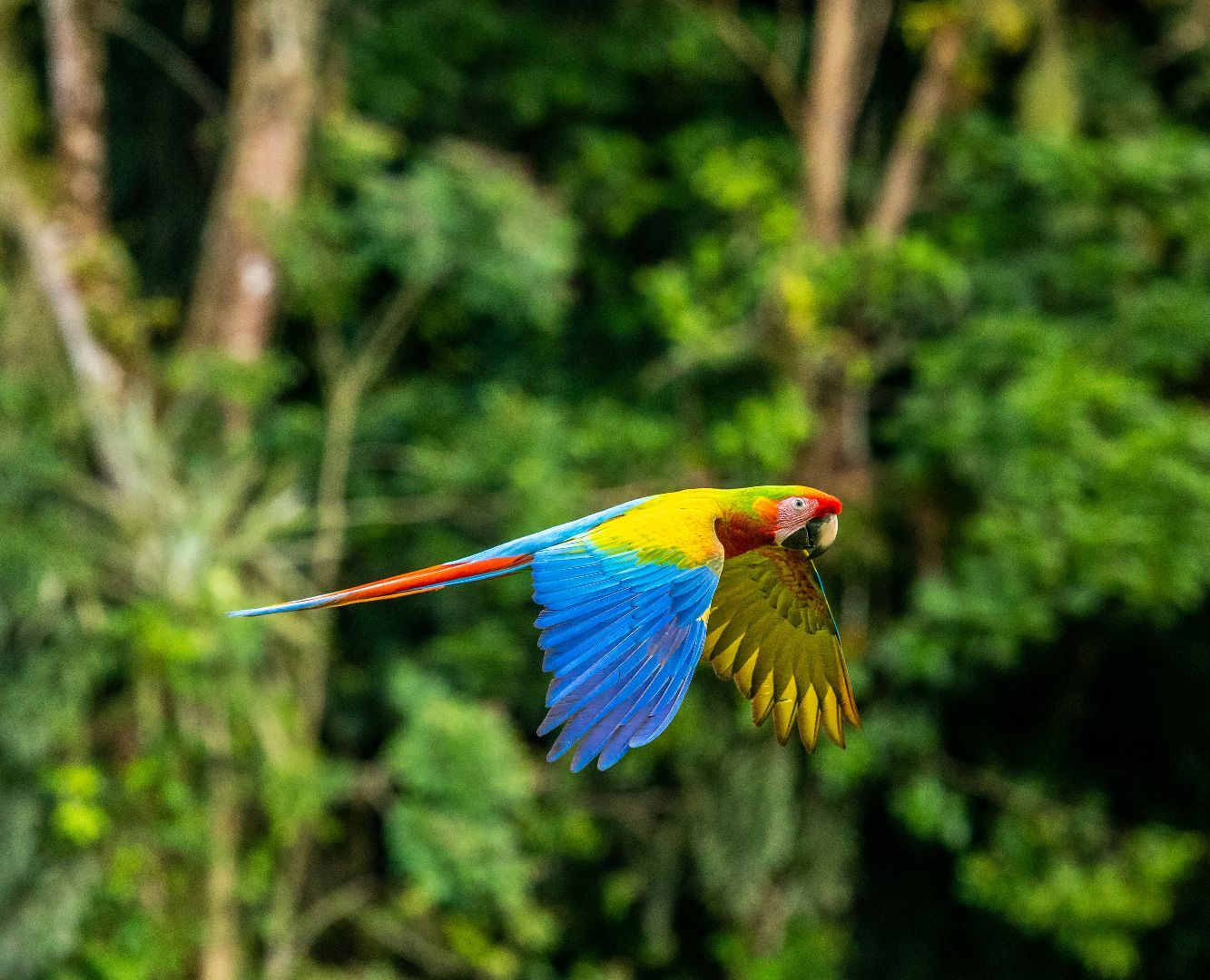 Costa Rica in Luxury_YOU Travel Tauranga6.jpg