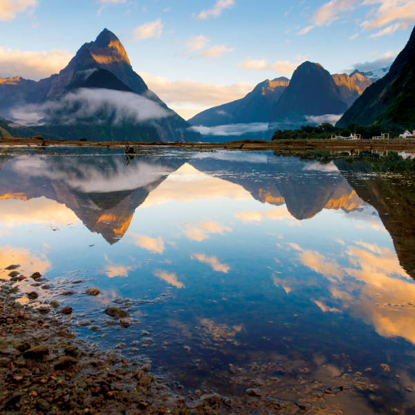 Southern Fiords & East Coast NZ_YOU Travel Tauranga Travel Agency (1).png