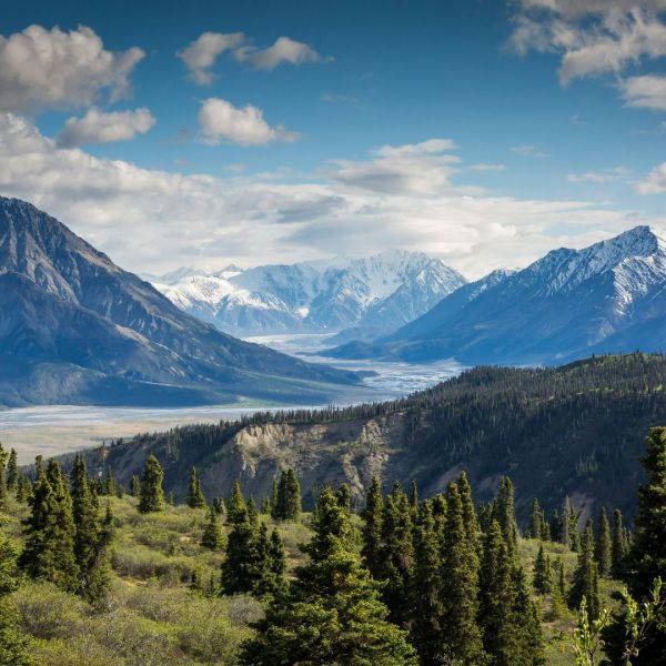 Yukon Winter Dream_YOU Travel & Cruise Tauranga Travel Agency4.jpg
