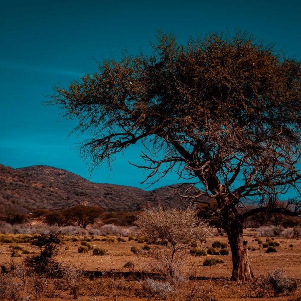 Ultimate Namibia Private Tour_YOU Travel Tauranga7.jpg