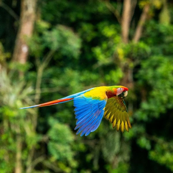 Costa Rica in Luxury_YOU Travel Tauranga6.jpg